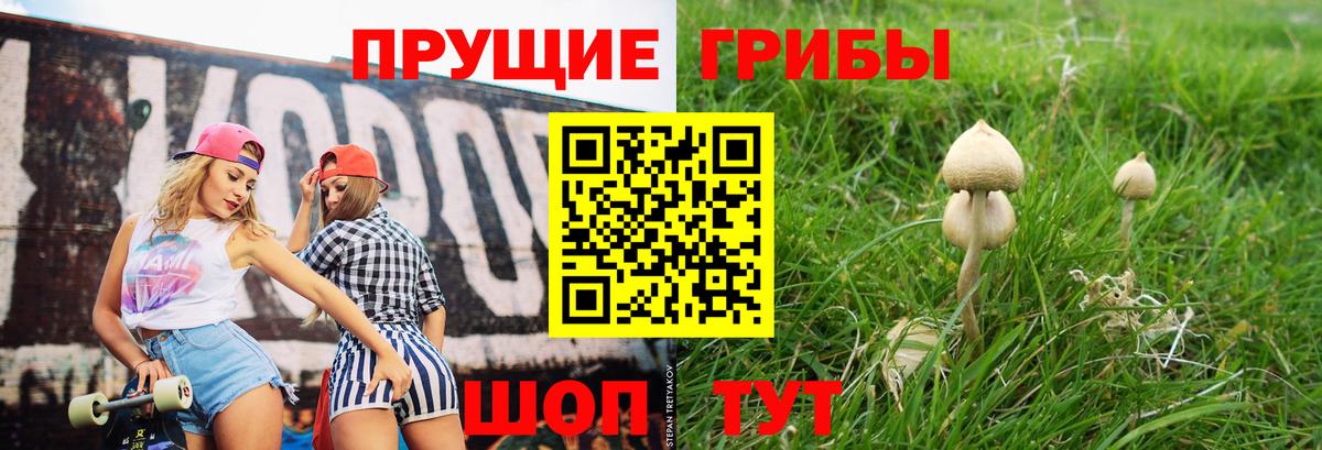 Псилоцибиновые грибы Psilocybine cubensis  Вход с VPN  Мегион 